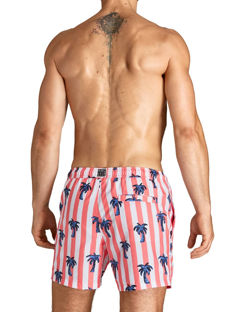 Swim Shorts - Sylvester