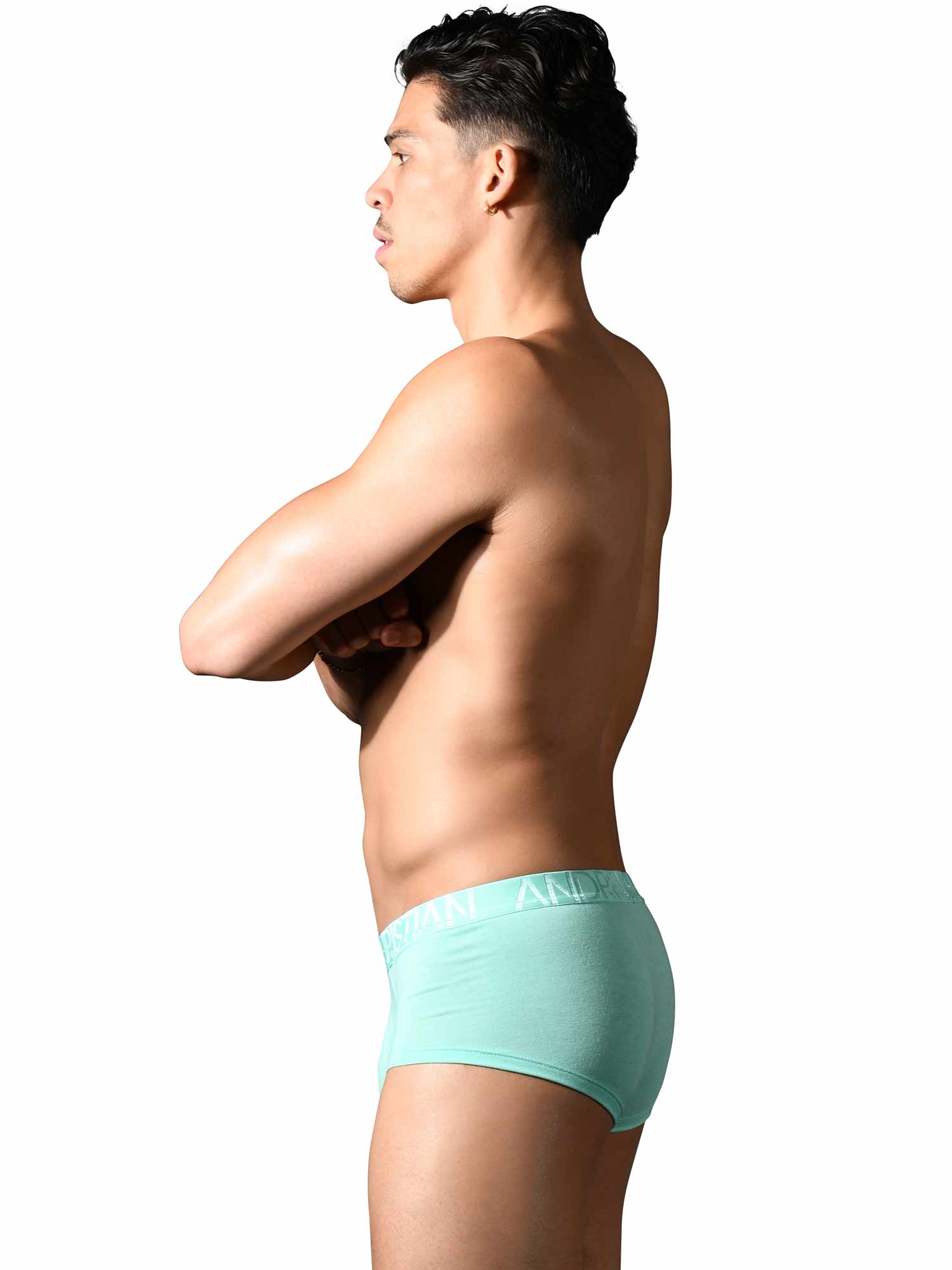 Happy Boxer - Modal