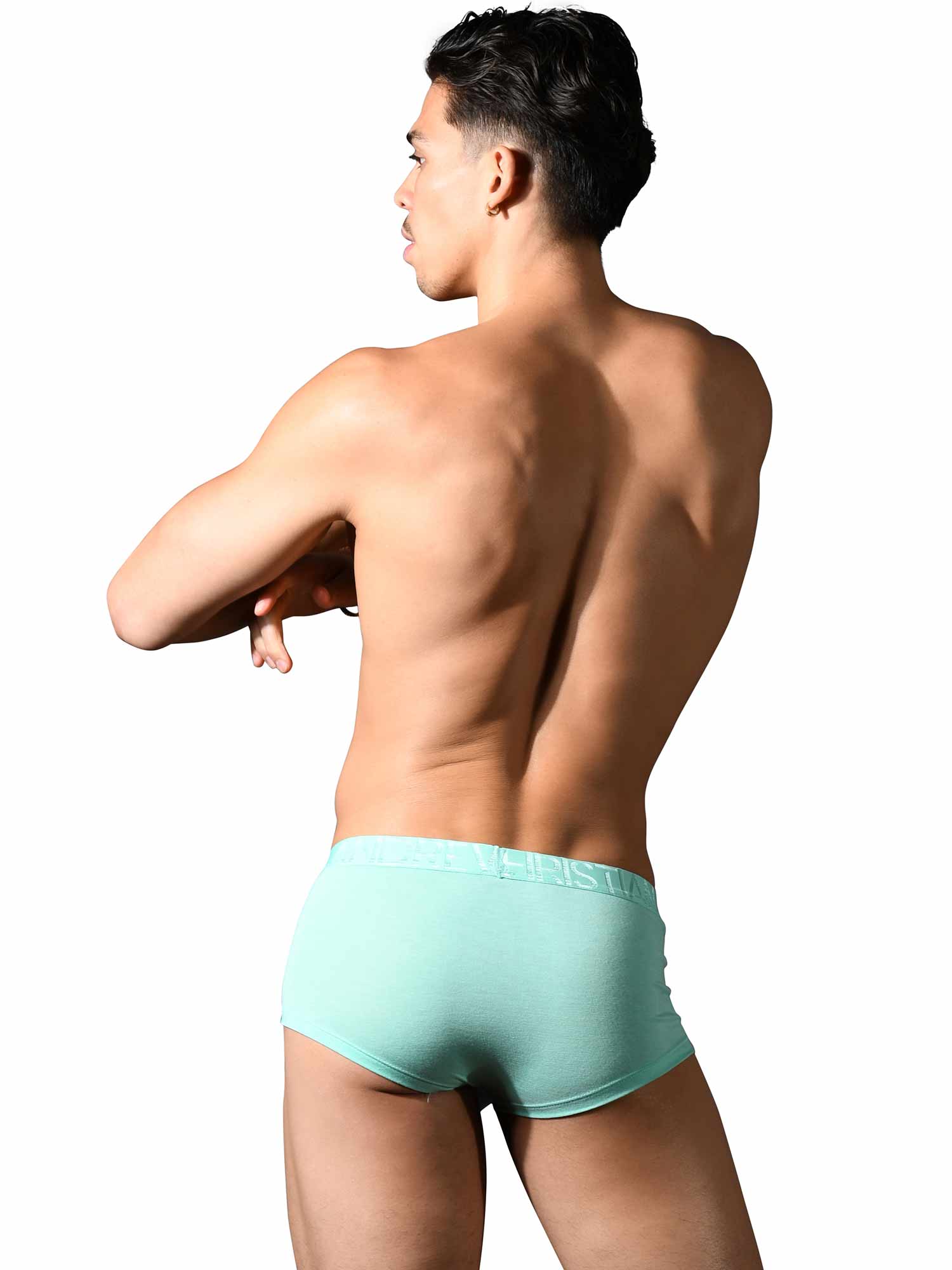 Happy Boxer - Modal
